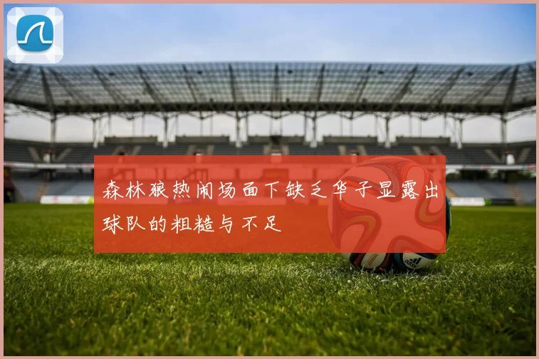 森林狼热闹场面下缺乏华子显露出球队的粗糙与不足